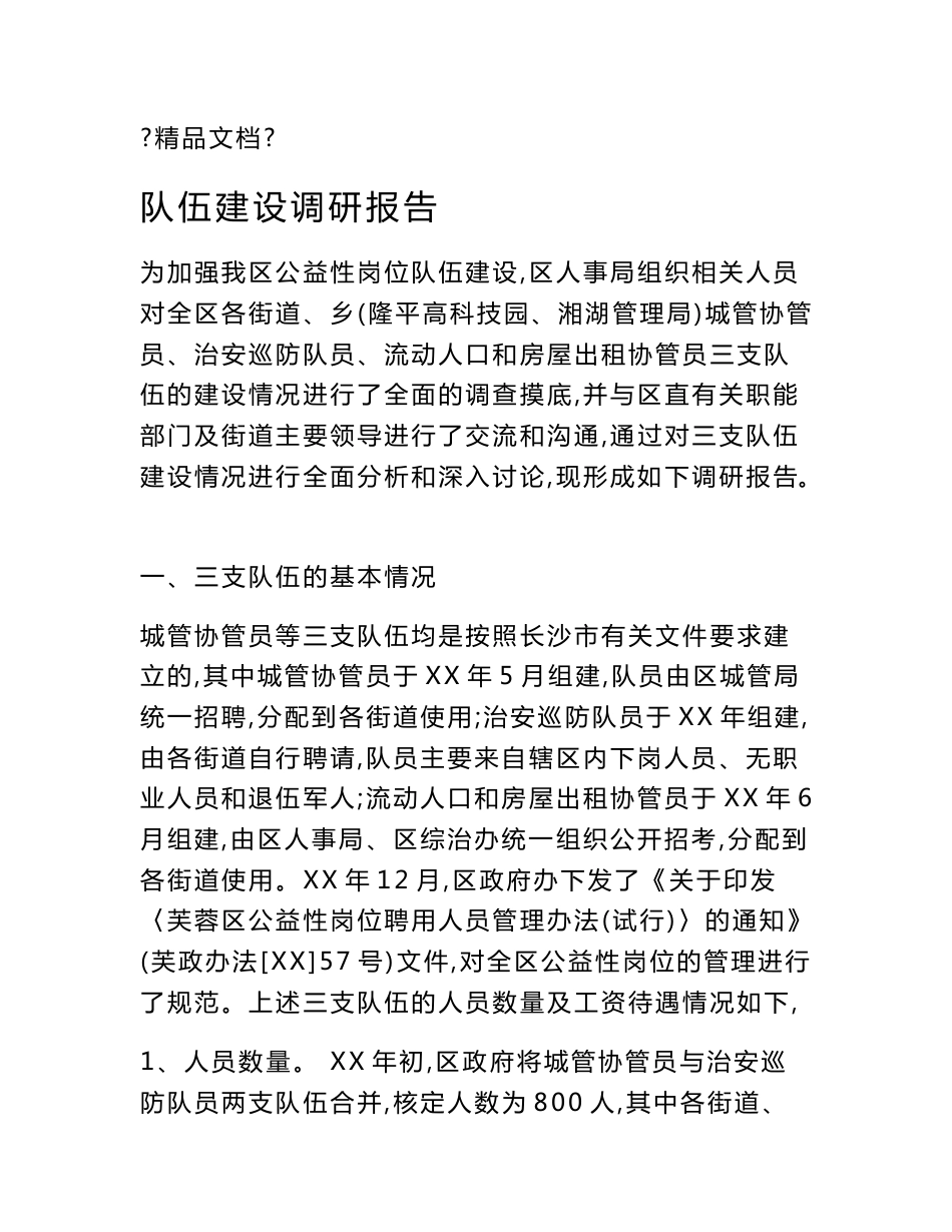 队伍建设调研报告_第1页