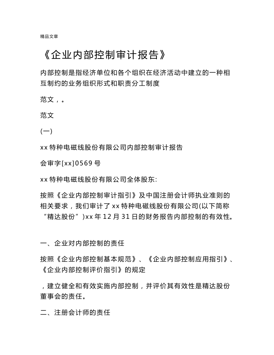 《企业内部控制审计报告》_第1页