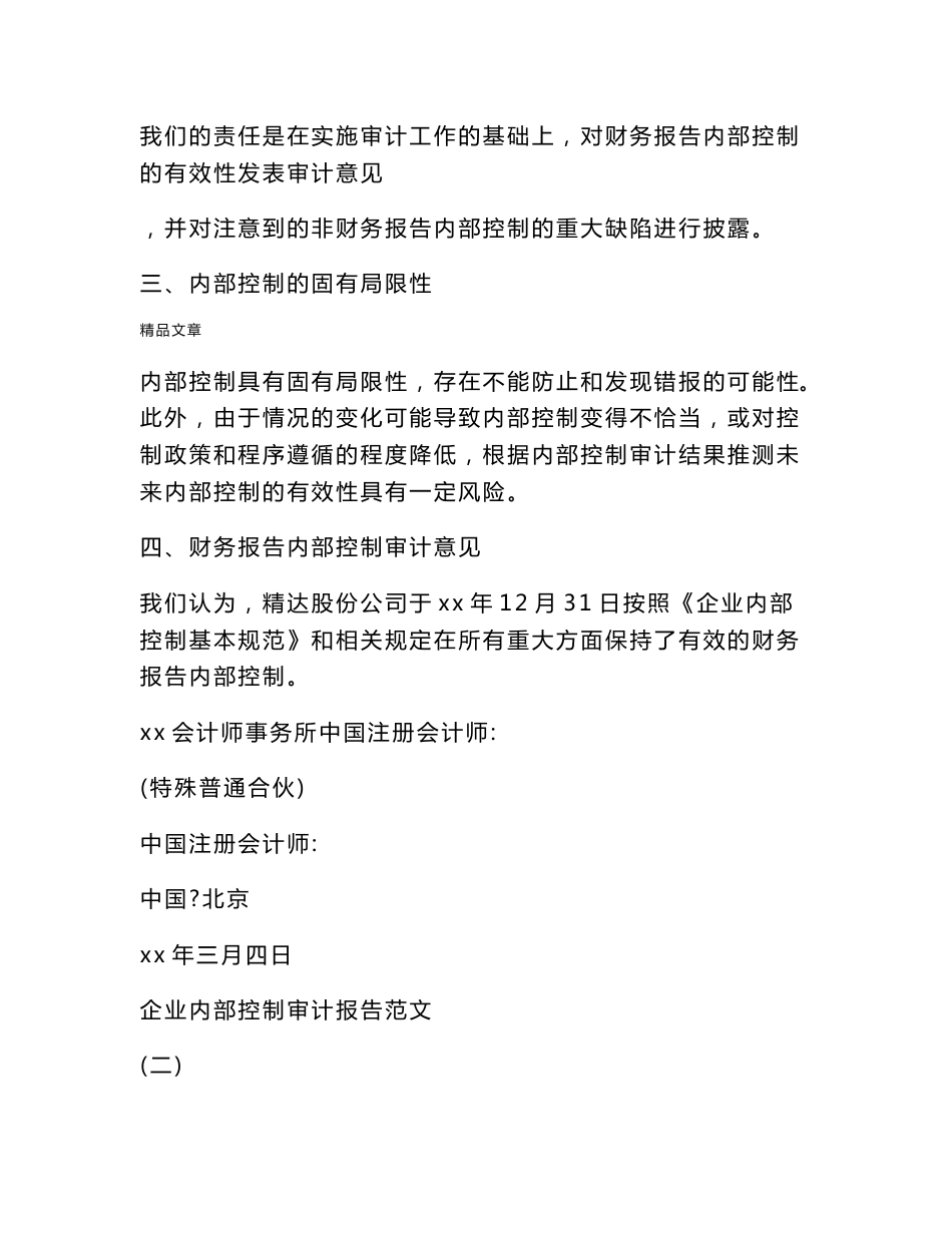 《企业内部控制审计报告》_第2页