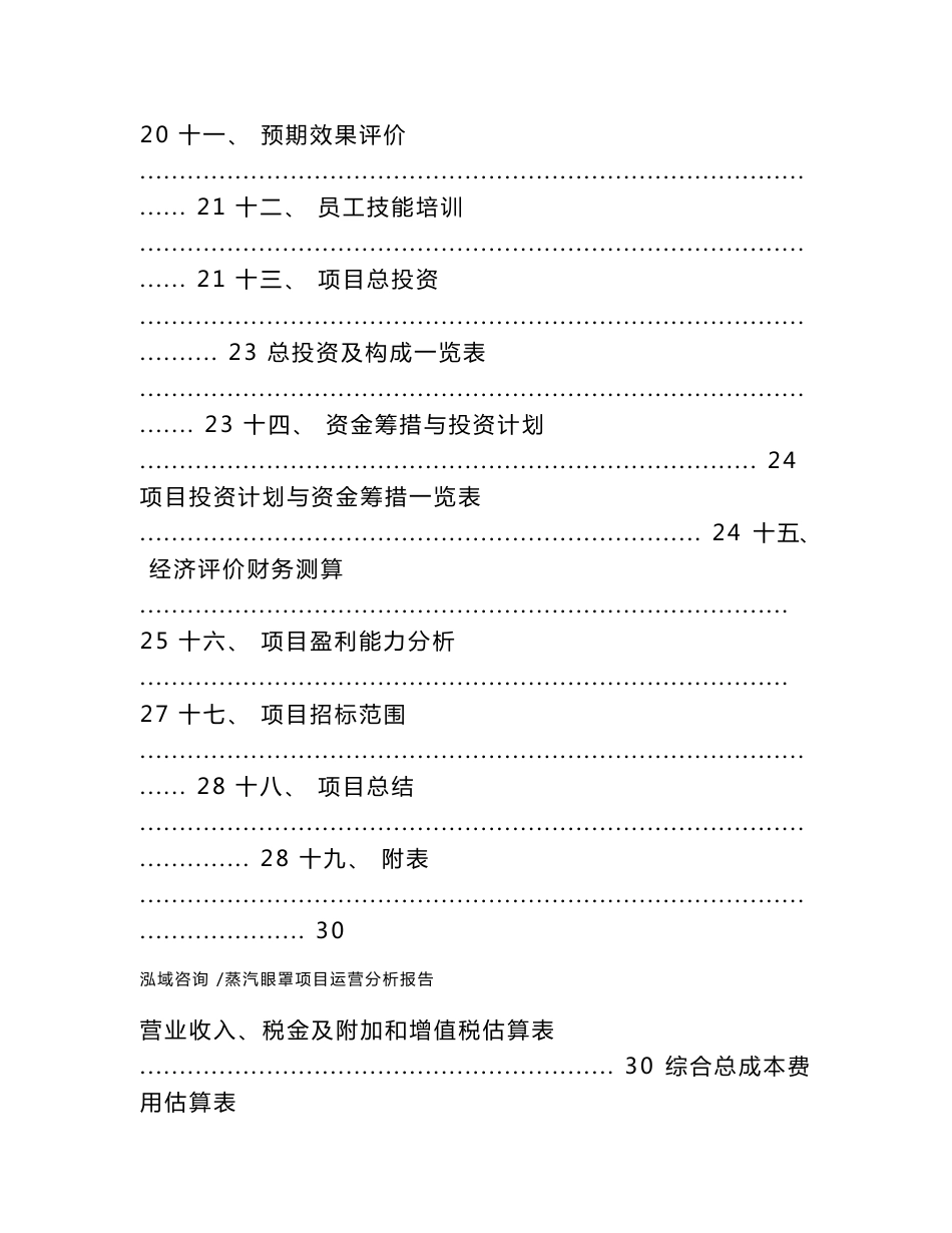 蒸汽眼罩项目运营分析报告（模板范文）_第2页