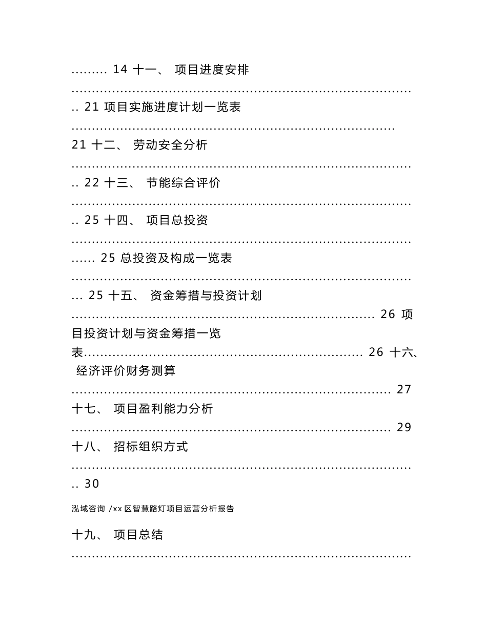 xx区智慧路灯项目运营分析报告（模板范本）_第2页