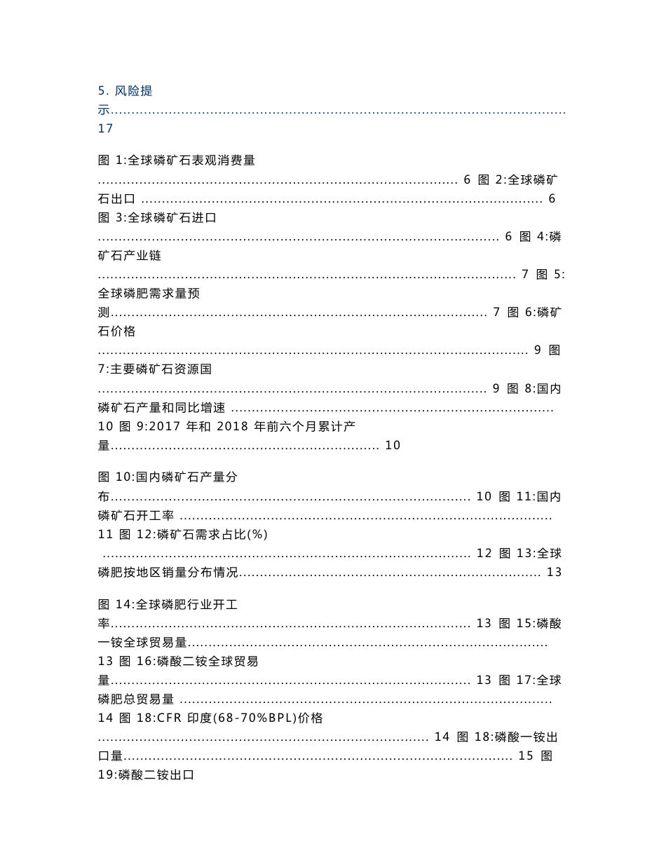 2019年磷化工行业研究报告_第2页