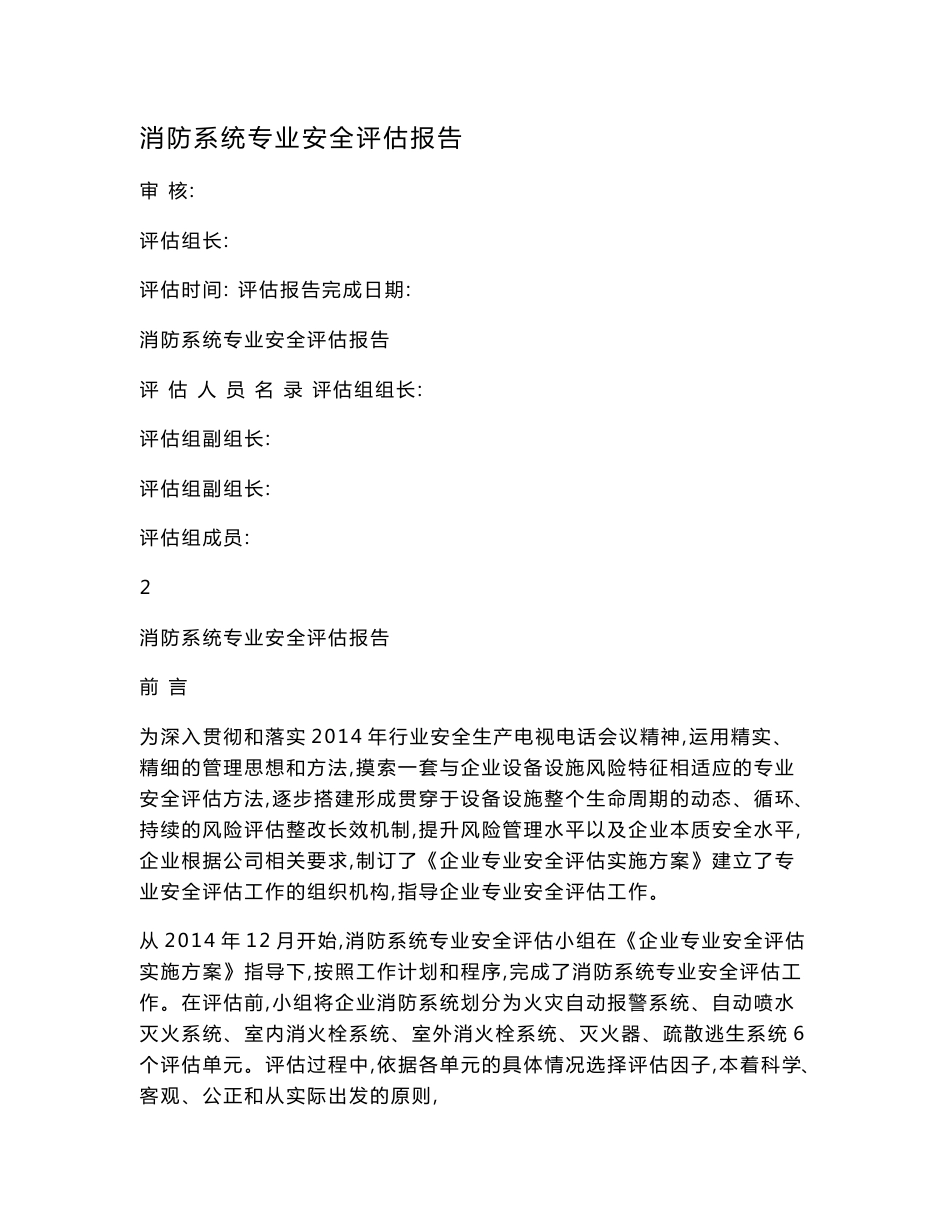 消防系统专业安全评估报告.doc_第1页