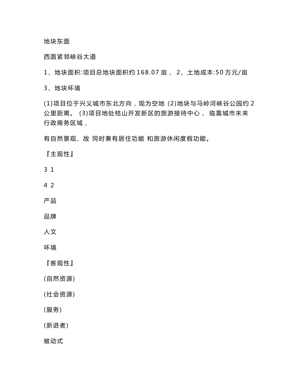 兴义民族风情一条街项目定位报告_第3页