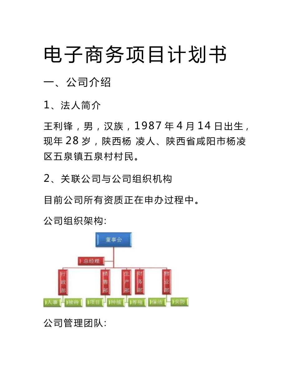 电商项目计划书_第1页