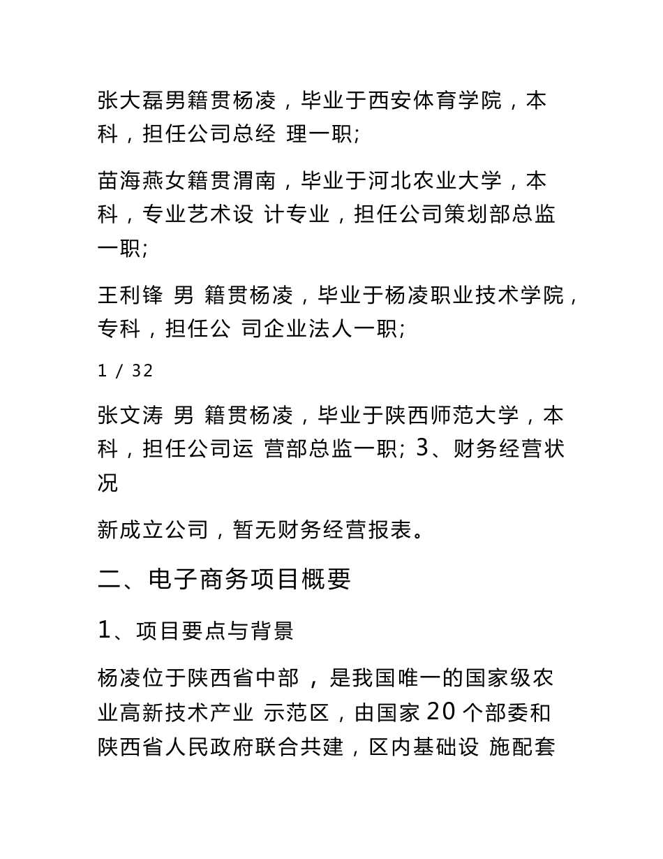电商项目计划书_第2页