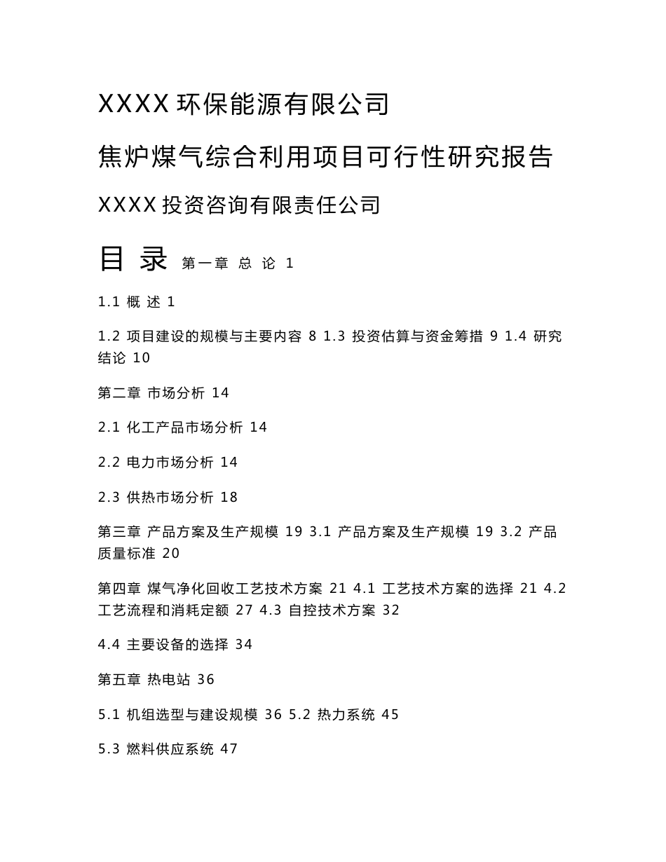 (优秀可研报告推荐)XX环保能源有限公司焦炉煤气综合利用项目可行性研究报告_第1页