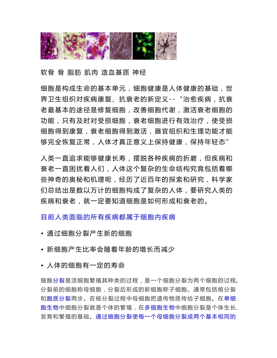 七星治疗仪科技改变生命质量产品手册_第2页