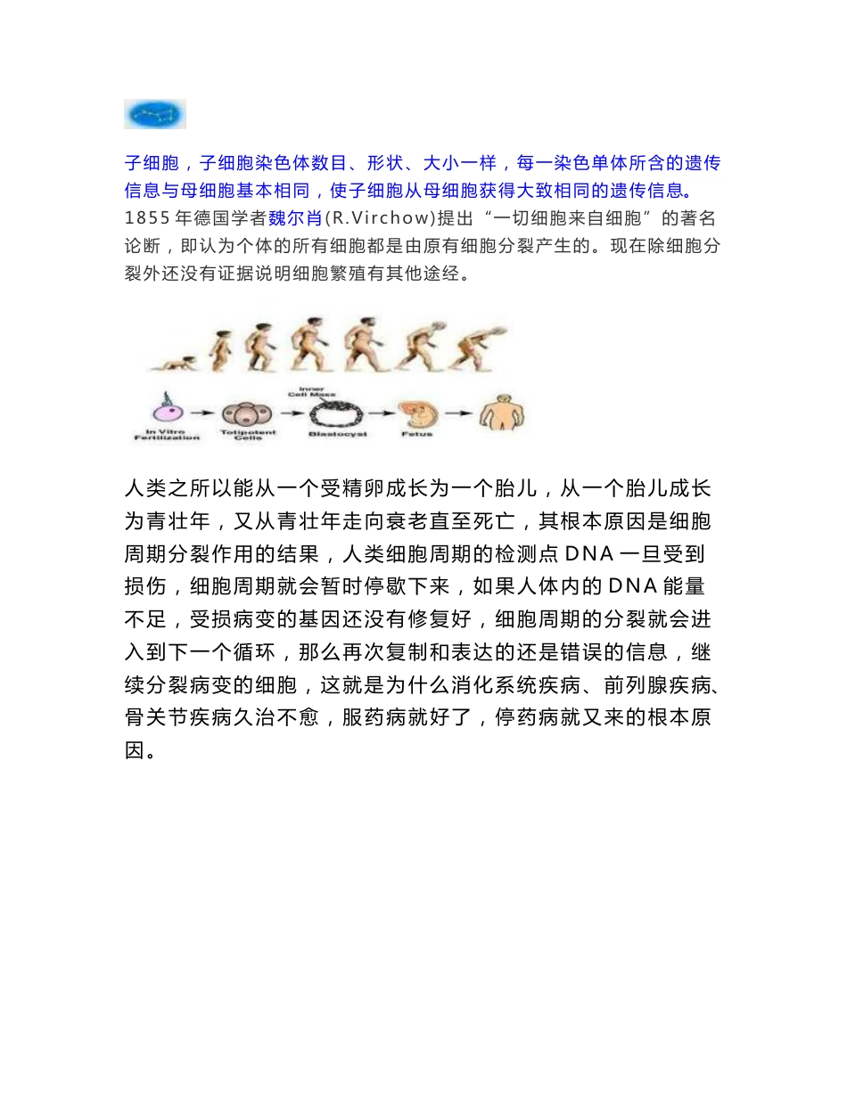 七星治疗仪科技改变生命质量产品手册_第3页
