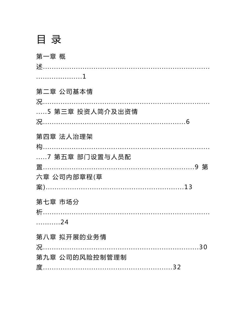 山东省某某民间资本管理有限公司设立可行性研究报告_第1页