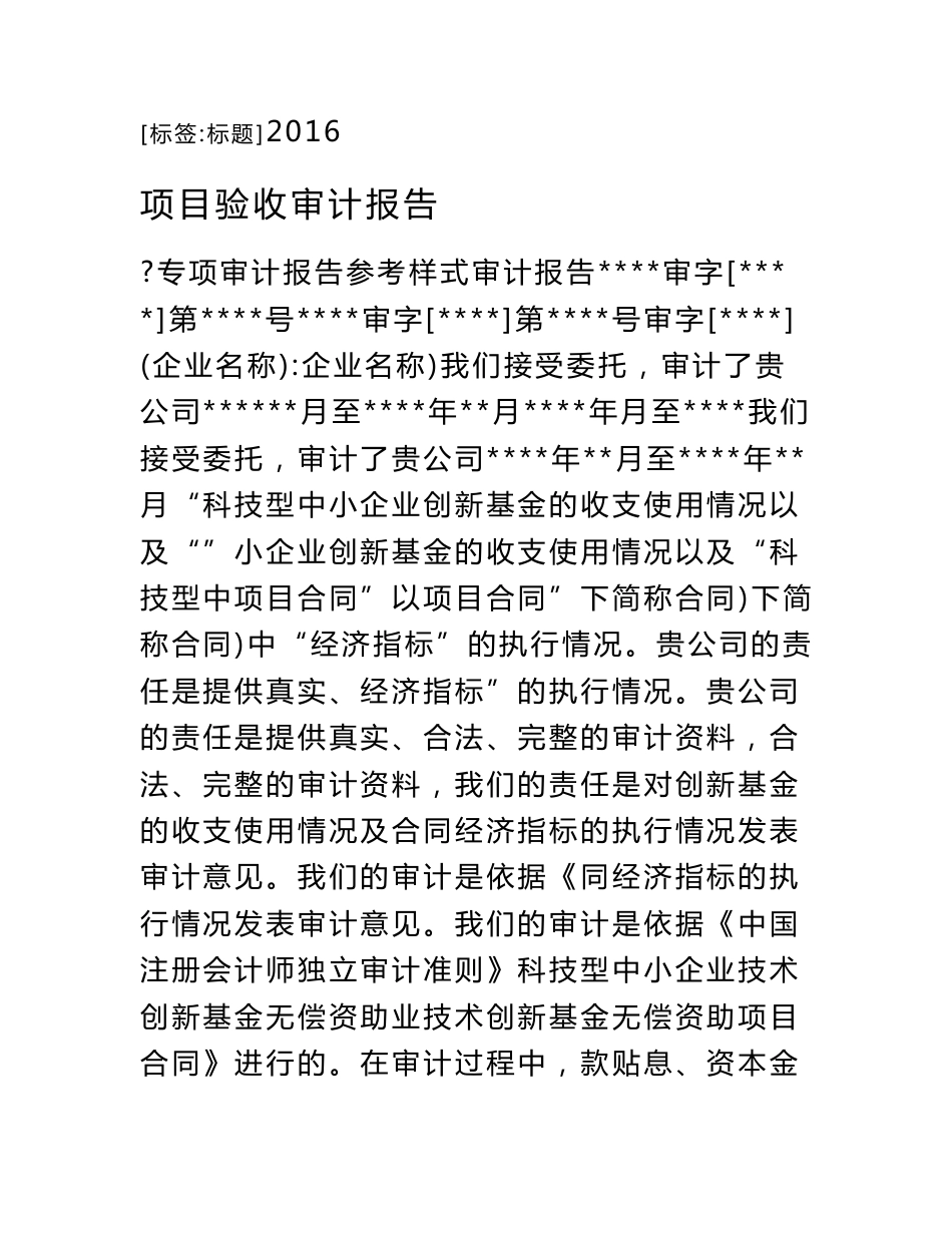 项目验收审计报告_第1页