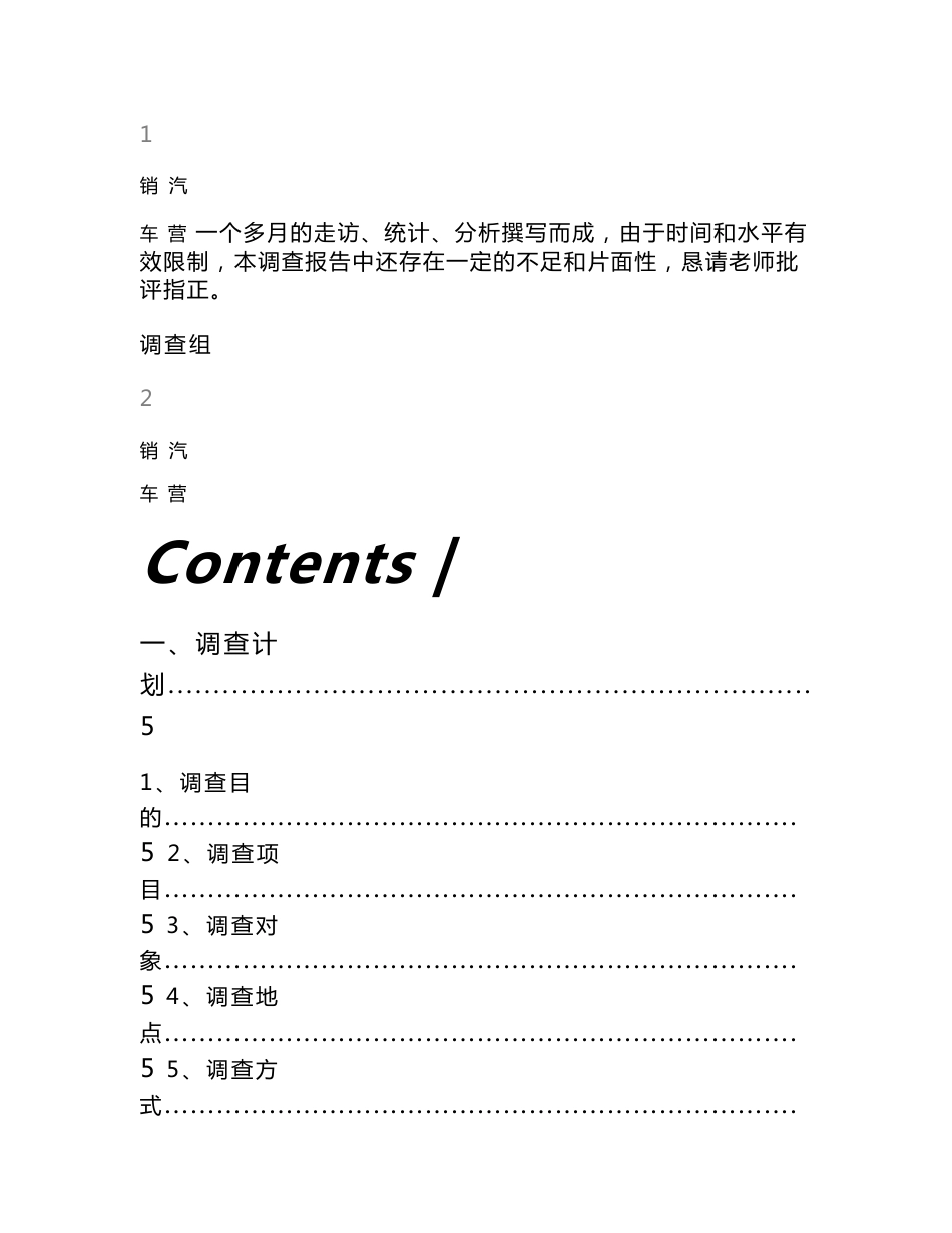 汽车市场调查报告_第2页