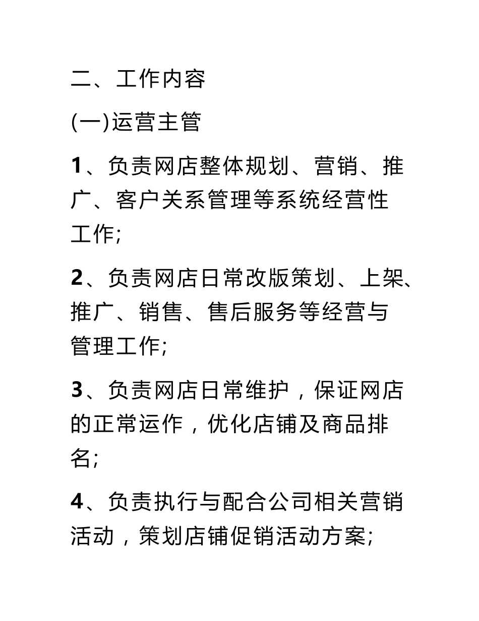 网店运营策划书_第2页