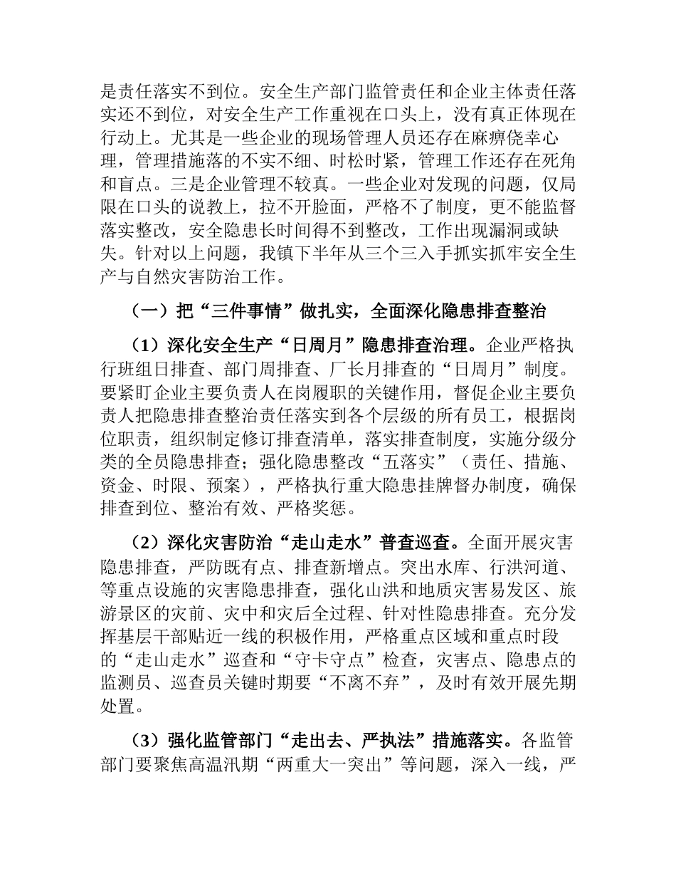镇安全生产和自然灾害防治工作汇报2023-2024_第2页