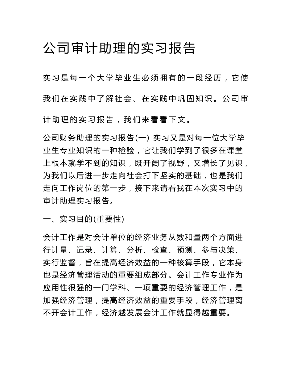 公司审计助理的实习报告_第1页