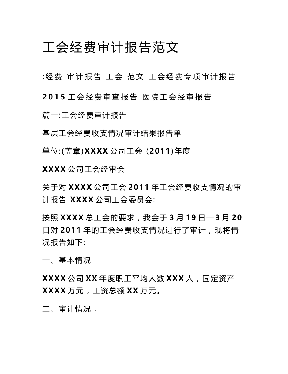 工会经费审计报告范文_第1页