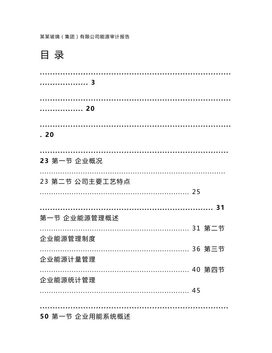 2009年某玻璃集团能源审计报告_第1页