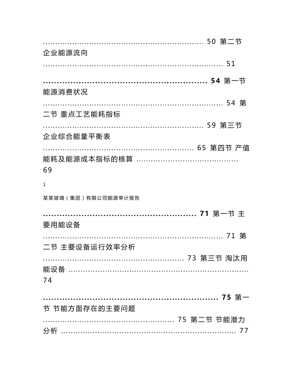 2009年某玻璃集团能源审计报告_第2页