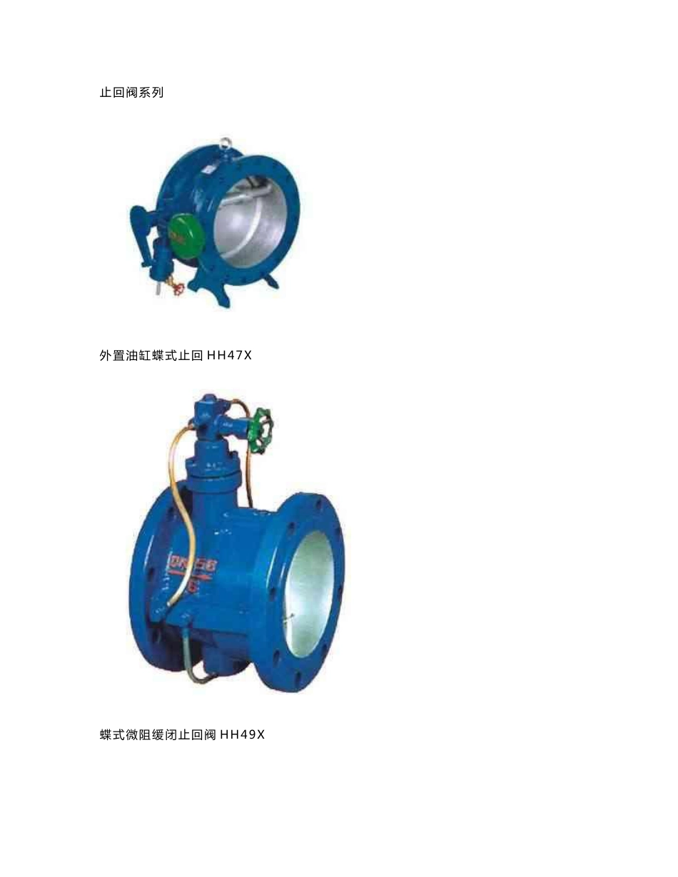 止回阀技术说明书_第1页
