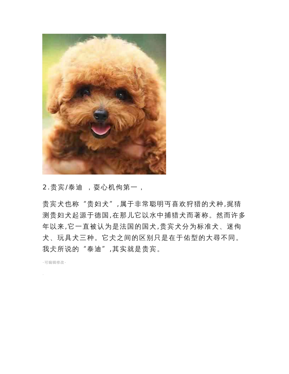 世界名犬大全前100名配详图和说明_第2页