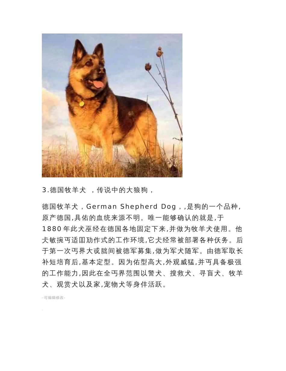 世界名犬大全前100名配详图和说明_第3页