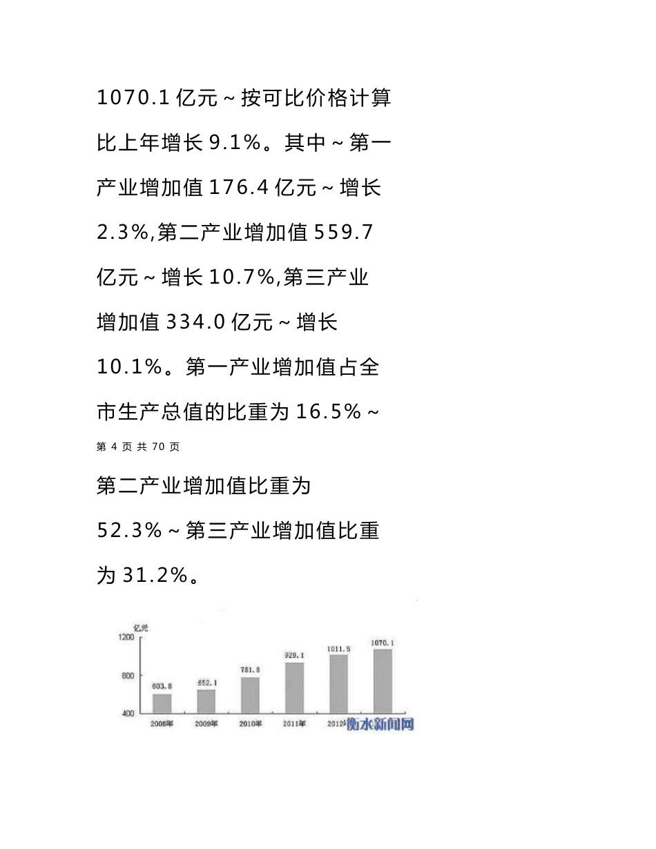 2014年河北衡水商业市场调研分析报告_第3页