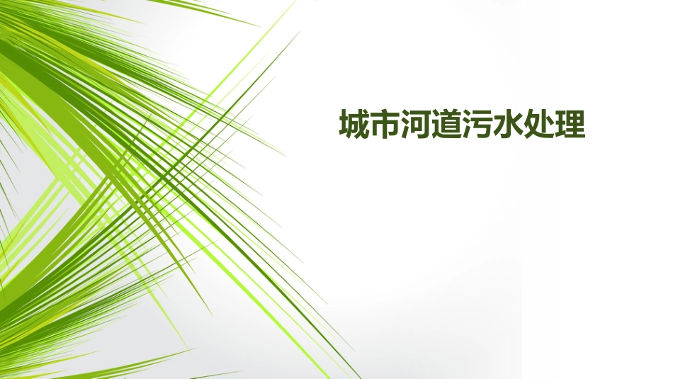 城市河道污水处理_第1页