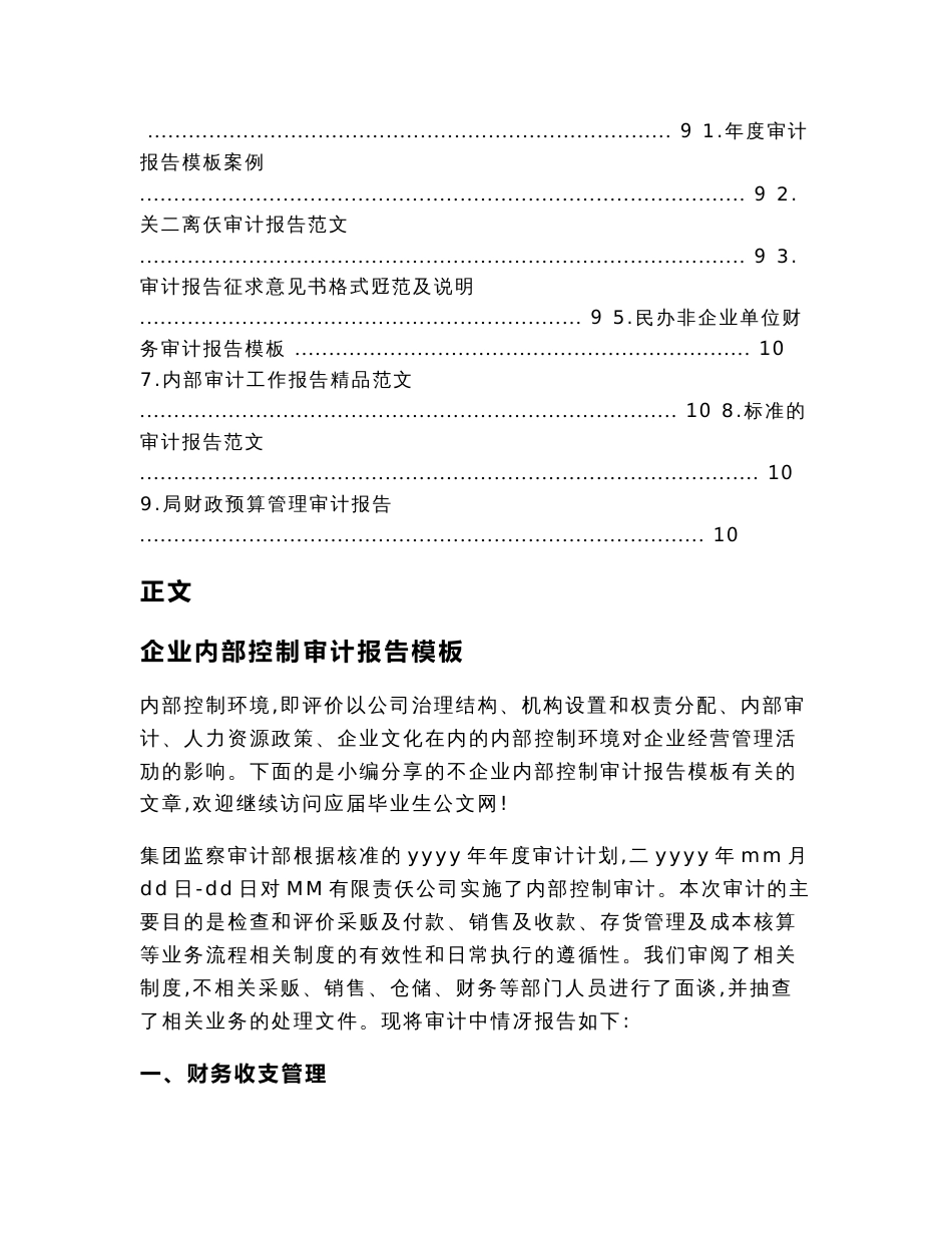 企业内部控制审计报告模板(审计报告范文)_第2页