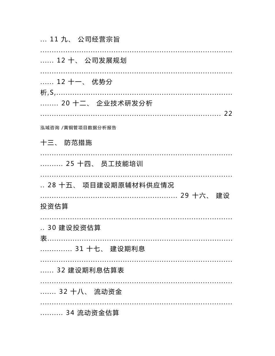 黄铜管项目数据分析报告（范文参考）_第2页