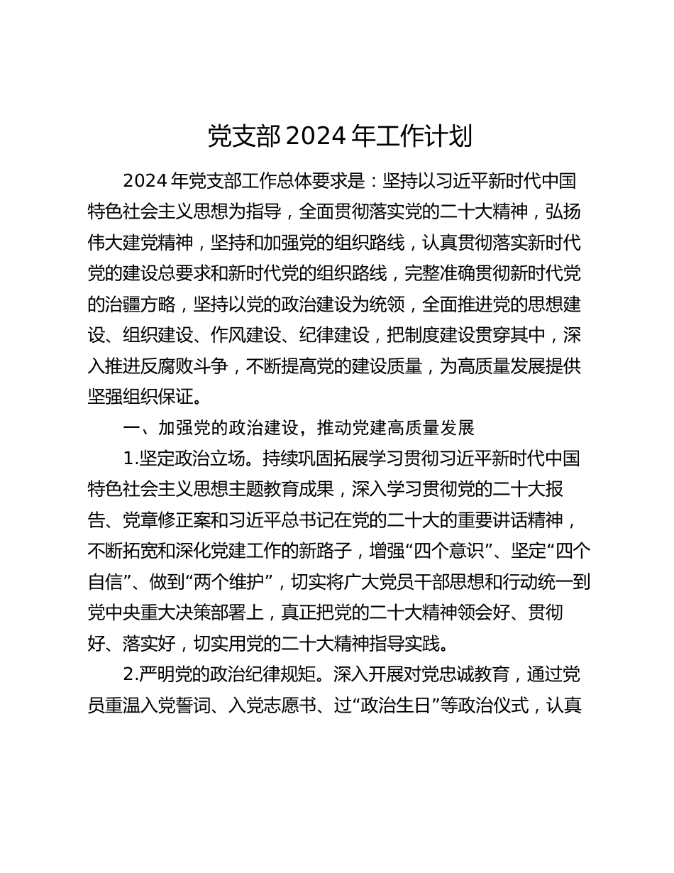 党支部2024年工作计划要点_第1页