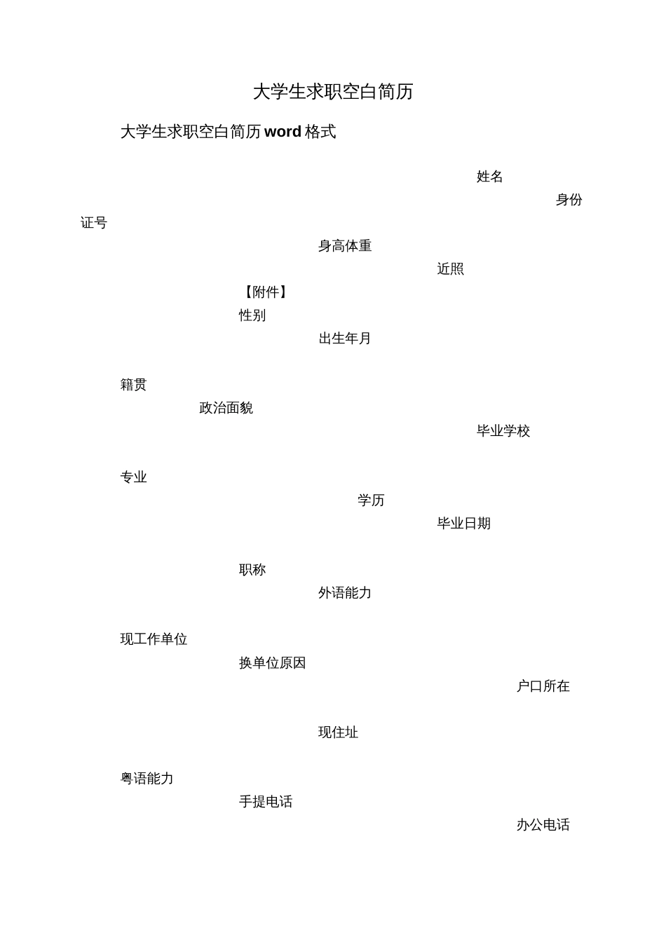 大学生求职空白简历_第1页