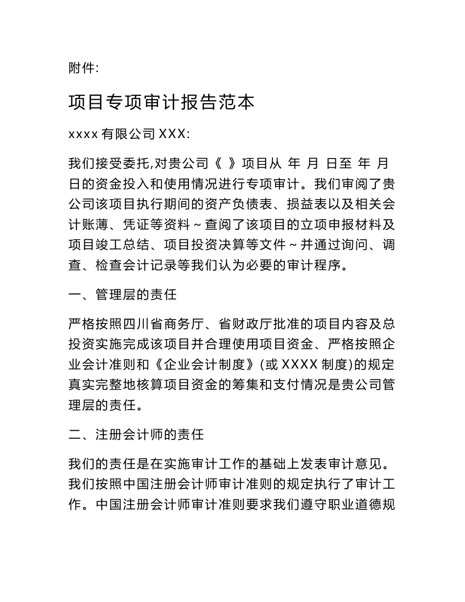 项目专项审计报告(范本)_第1页