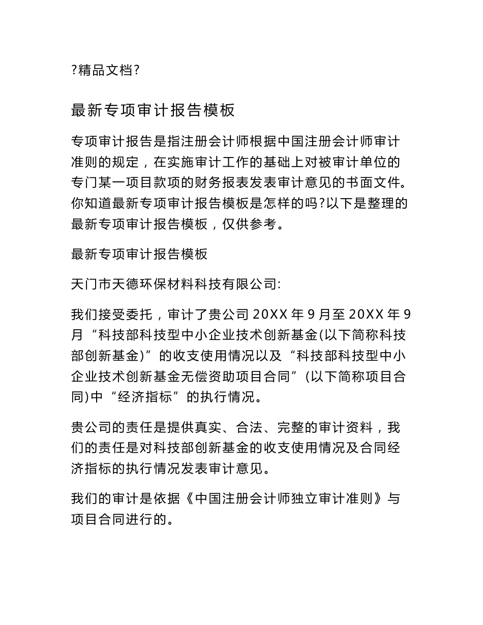 最新专项审计报告模板_第1页