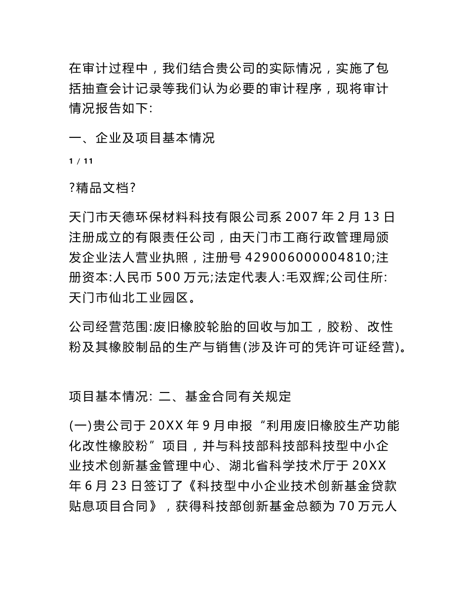 最新专项审计报告模板_第2页