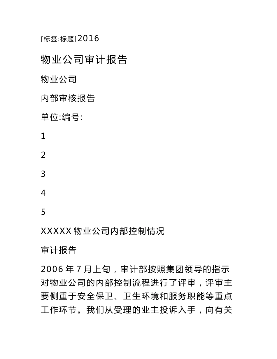 物业公司审计报告_第1页