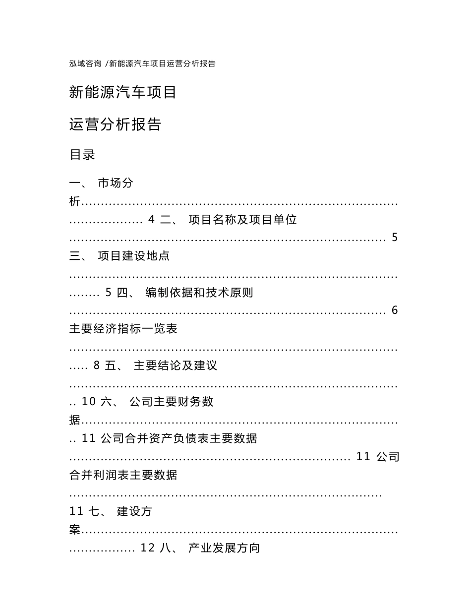 新能源汽车项目运营分析报告（模板参考）_第1页