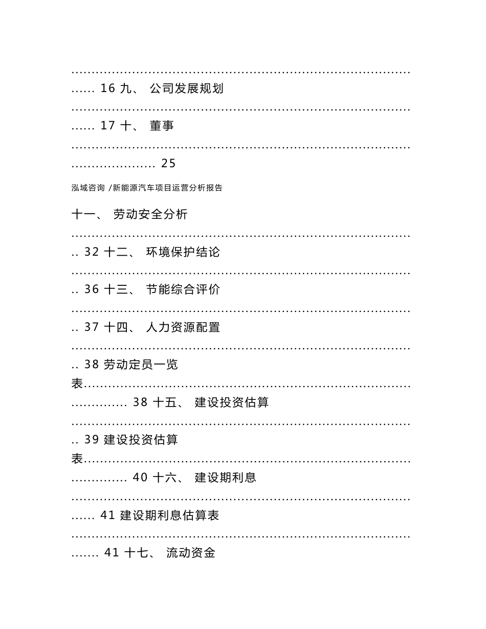 新能源汽车项目运营分析报告（模板参考）_第2页