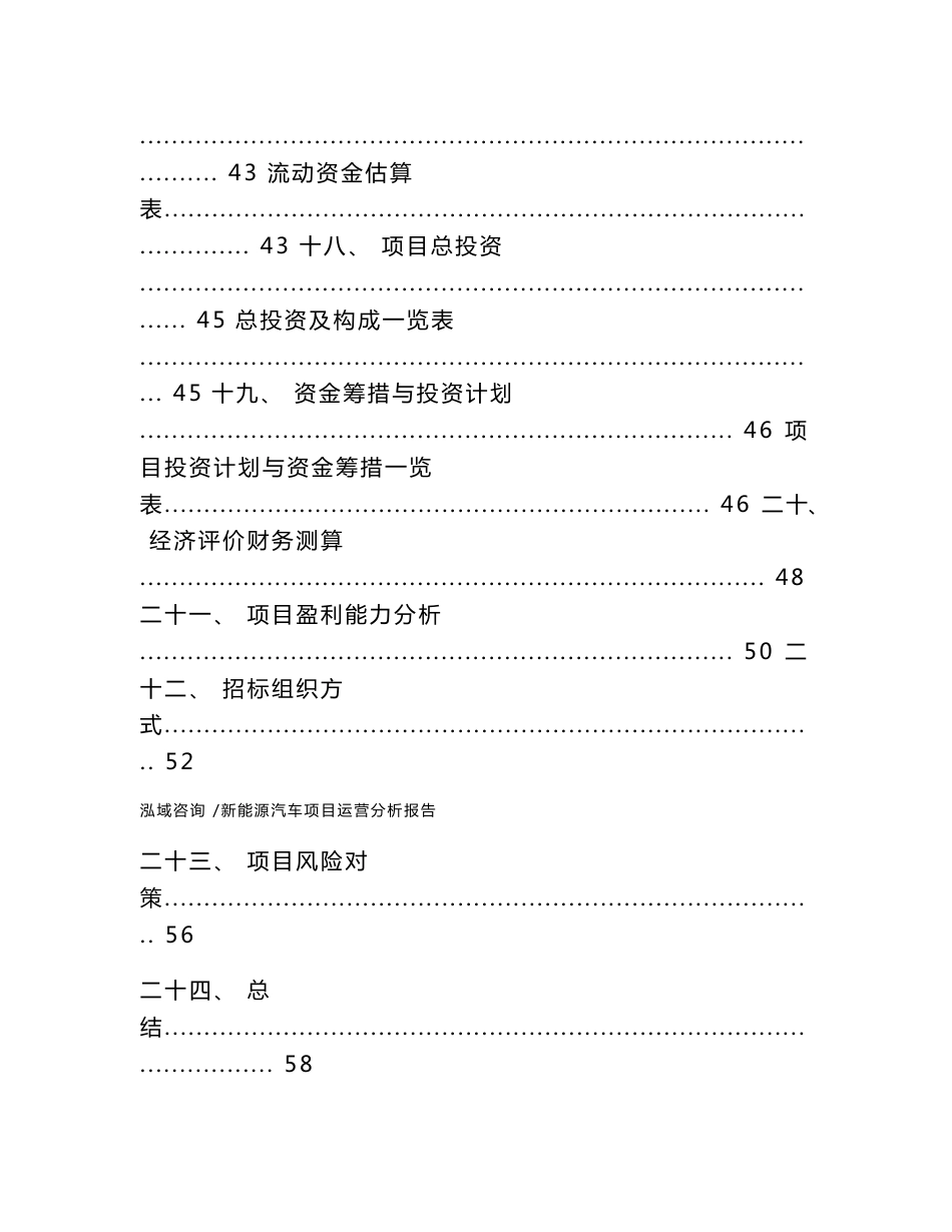 新能源汽车项目运营分析报告（模板参考）_第3页