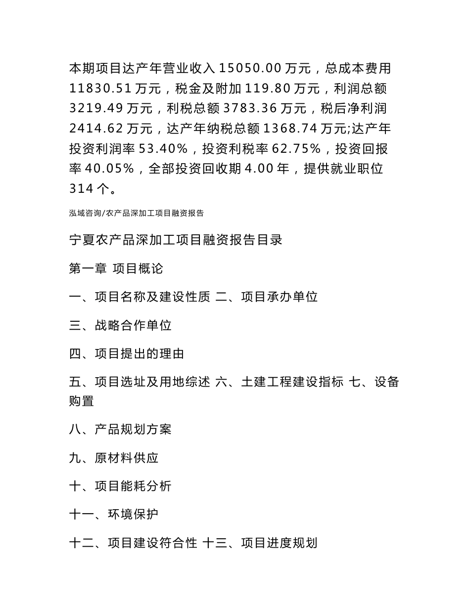 宁夏农产品深加工项目融资报告（可编辑模板）_第2页