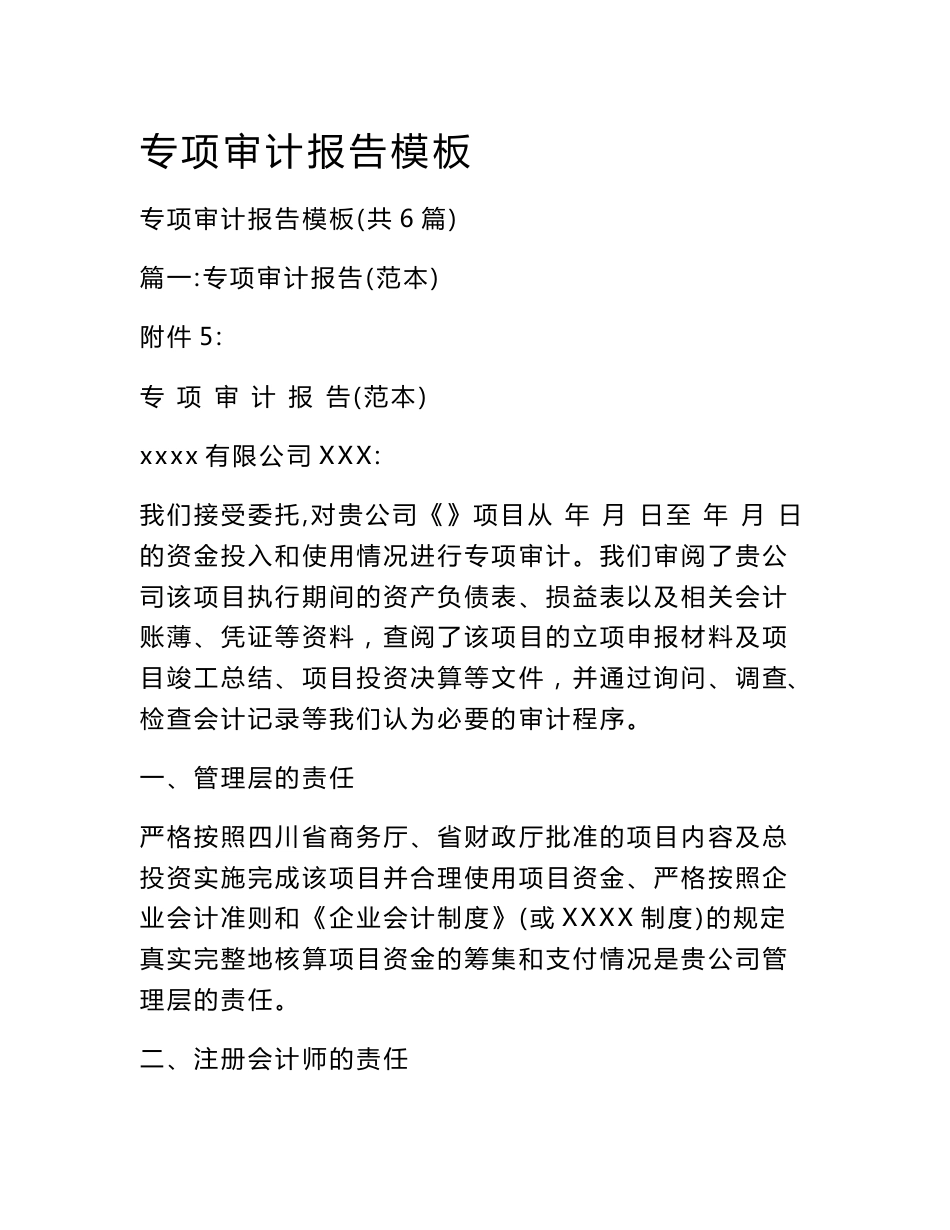 专项审计报告模板_第1页