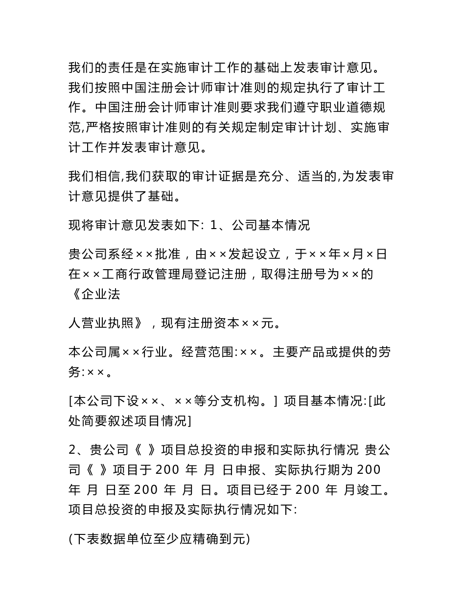 专项审计报告模板_第2页