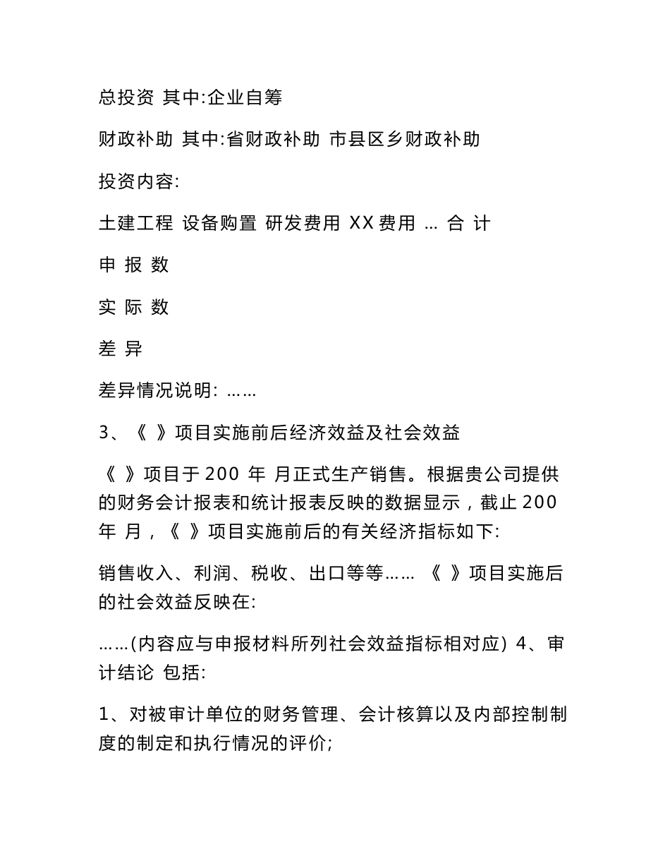 专项审计报告模板_第3页