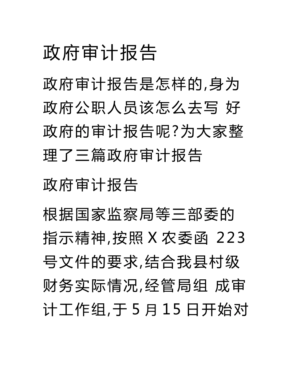 政府审计报告.doc_第1页