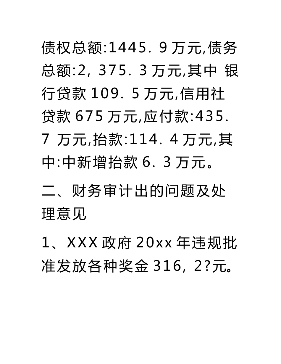 政府审计报告.doc_第3页