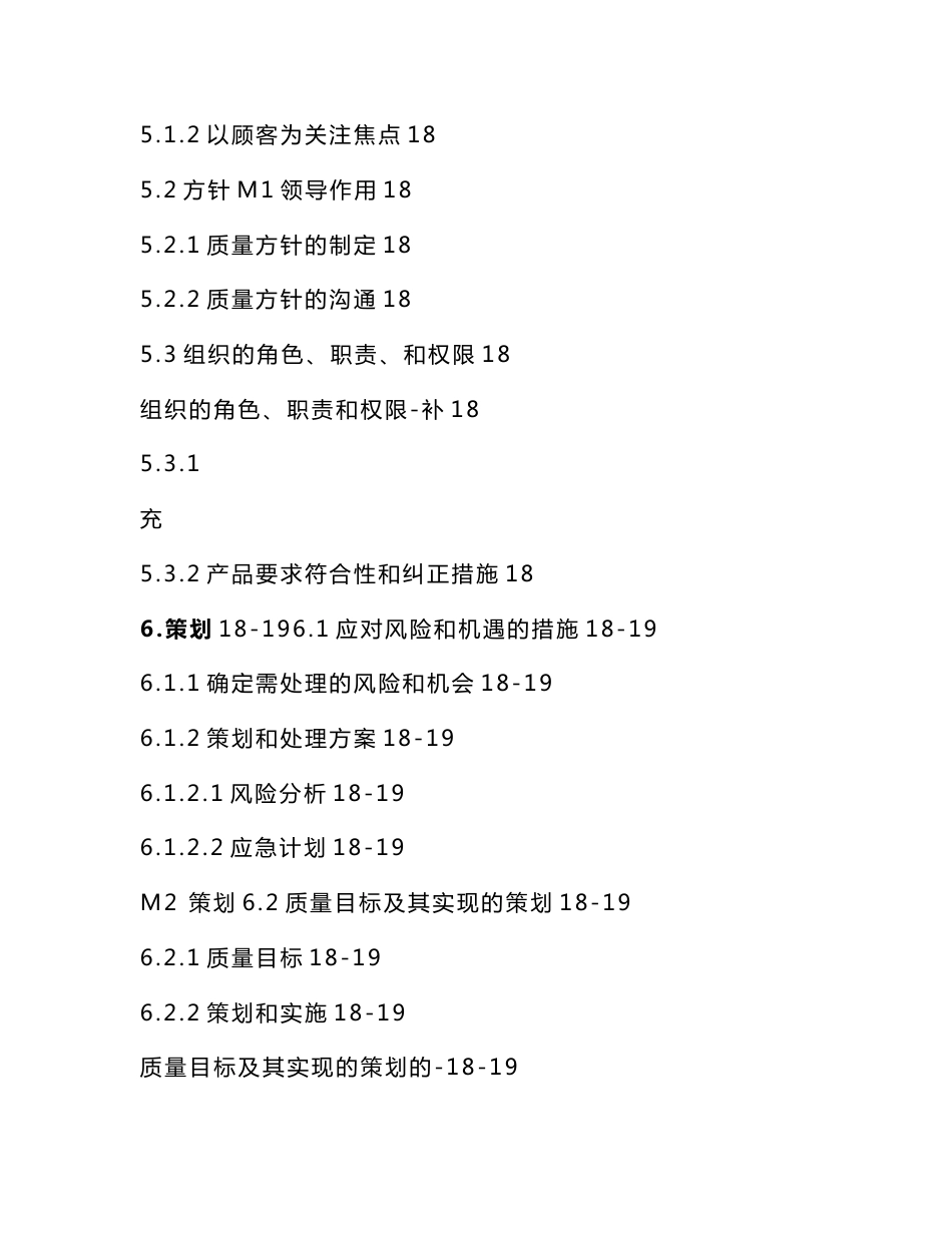 最新ISTF16949-2016新版全套质量手册程序文件记录表单_第3页