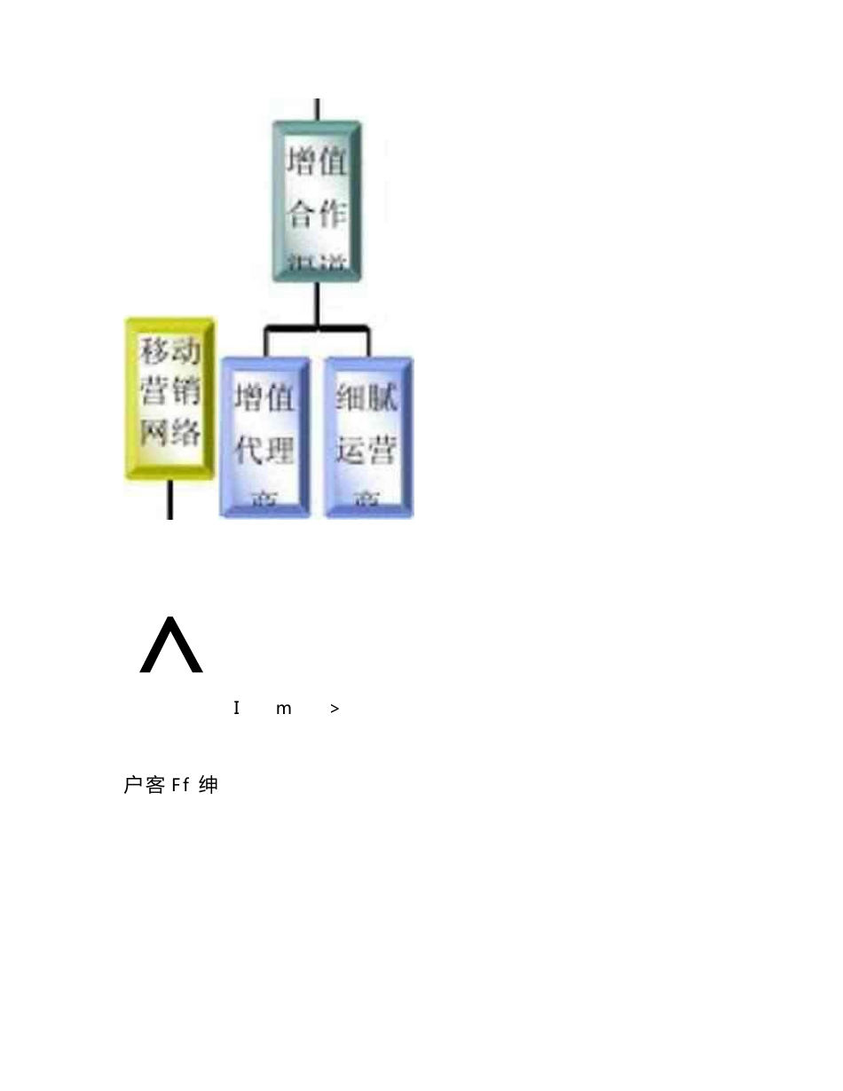 武汉电信渠道整合战略_第2页