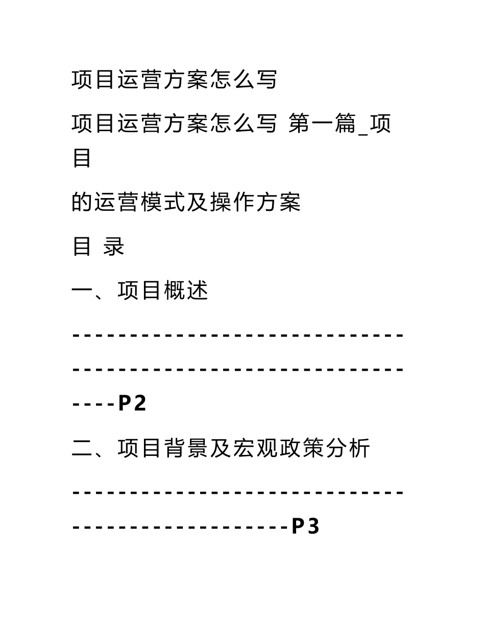 项目运营方案怎么写_第1页