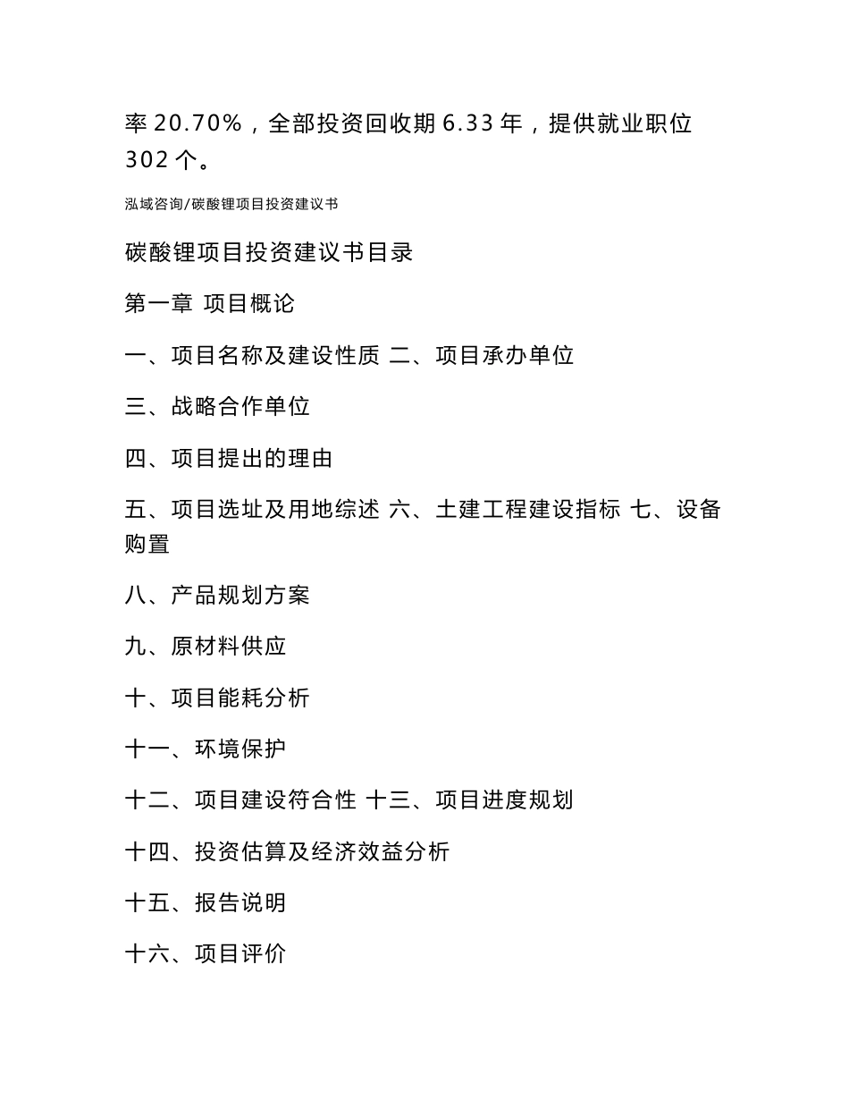 碳酸锂项目投资建议书_第2页
