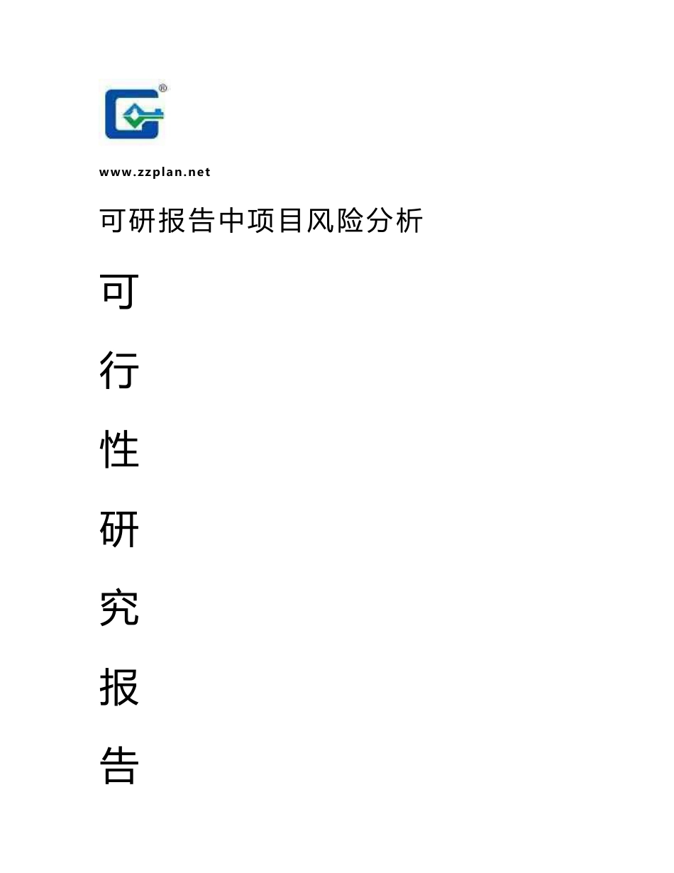 可研报告中项目风险分析-模板范文_第1页