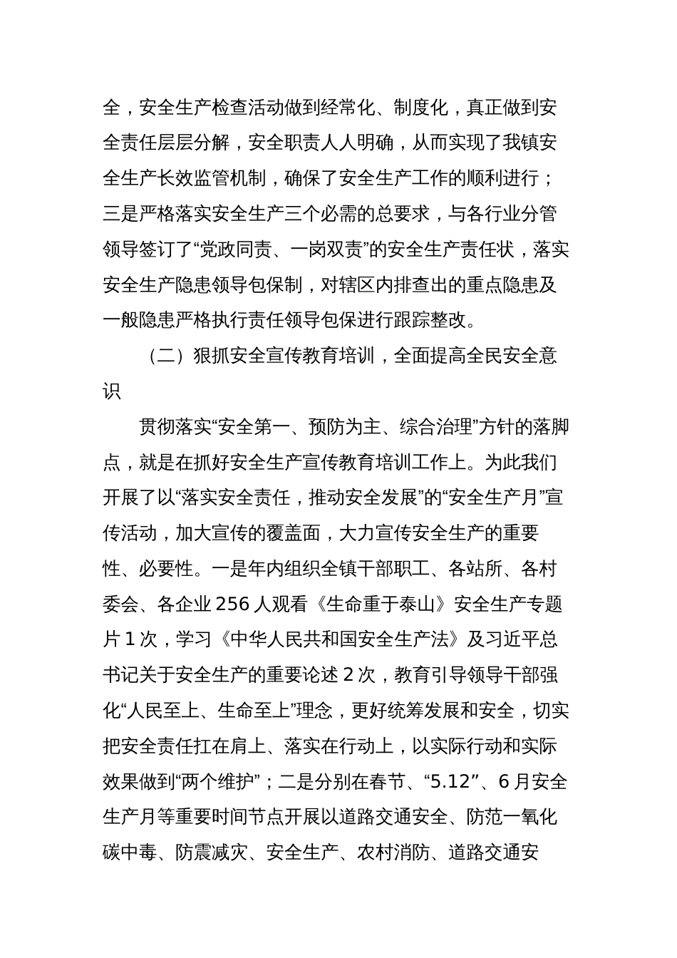 镇2023年安全生产工作总结及2024年重点工作计划_第2页